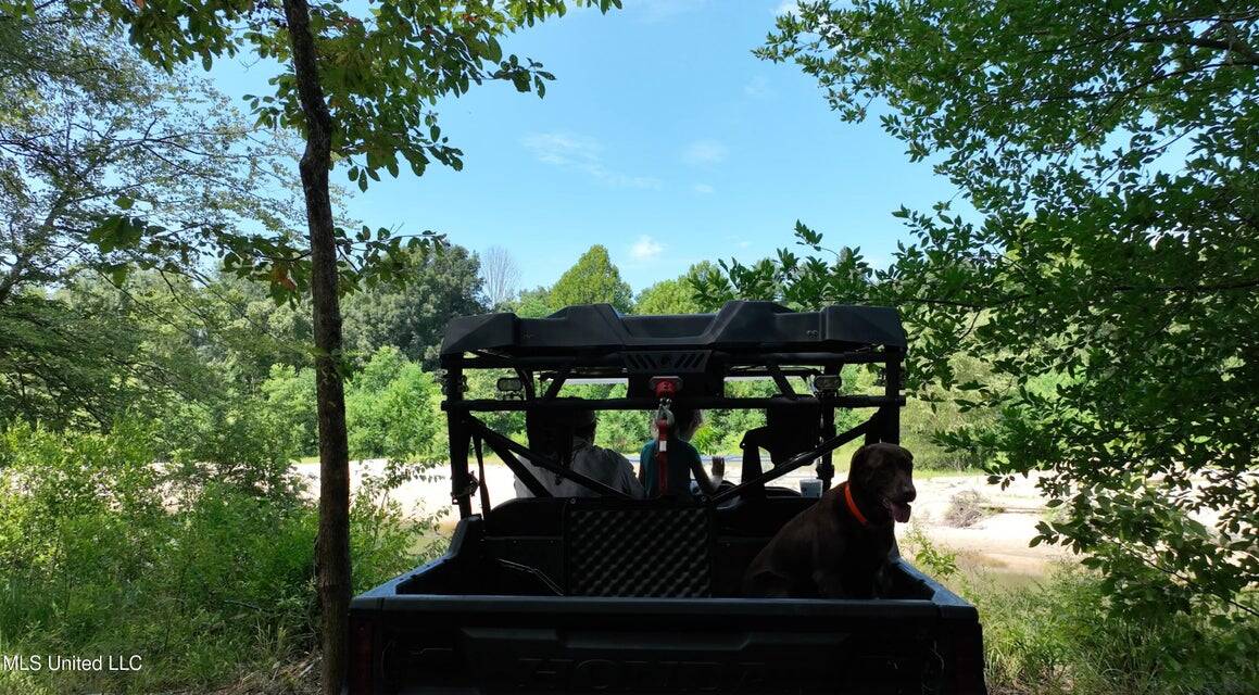 108+- Acres on the Bogue Chitto River Summit, Mississippi