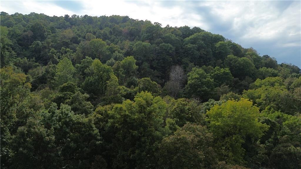 39.75 Newton County Hunting Land/Timber Property For Sale Low Gap