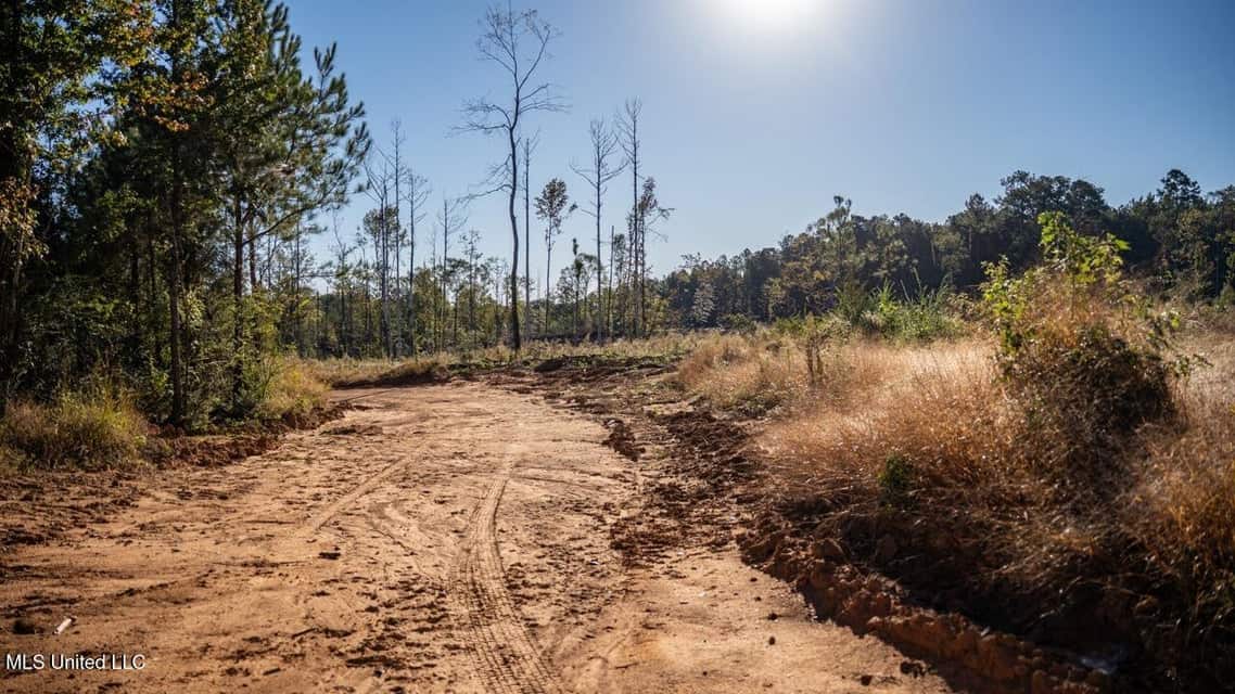 113 Acres of Hunting Land in Liberty, Mississippi