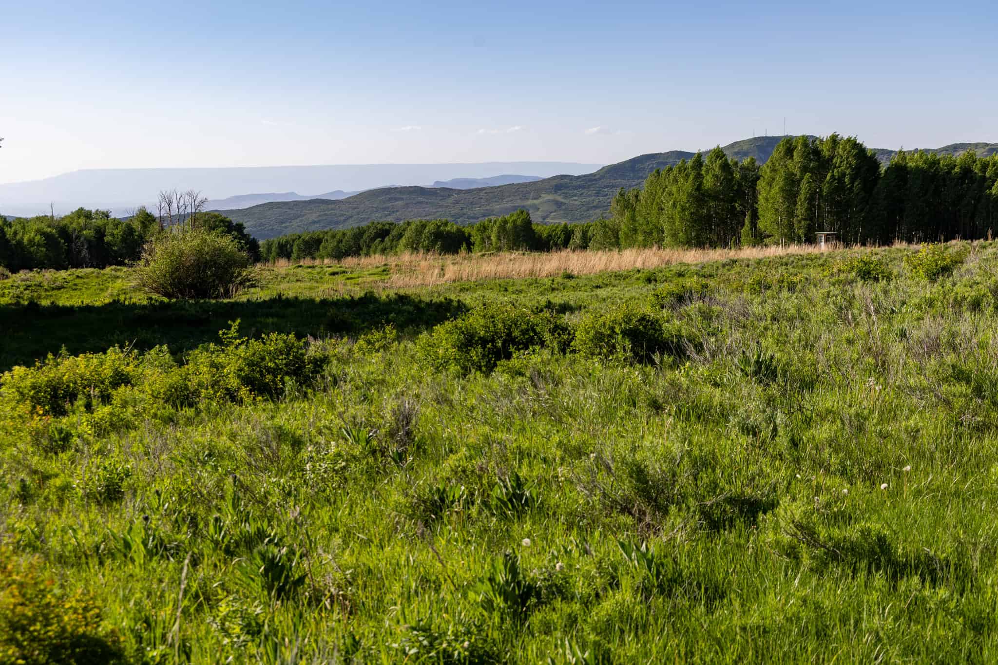 Buckhorn Lakes Ranch Investor Offering – 449± Acres of Premium Mountain Terrain for Sale