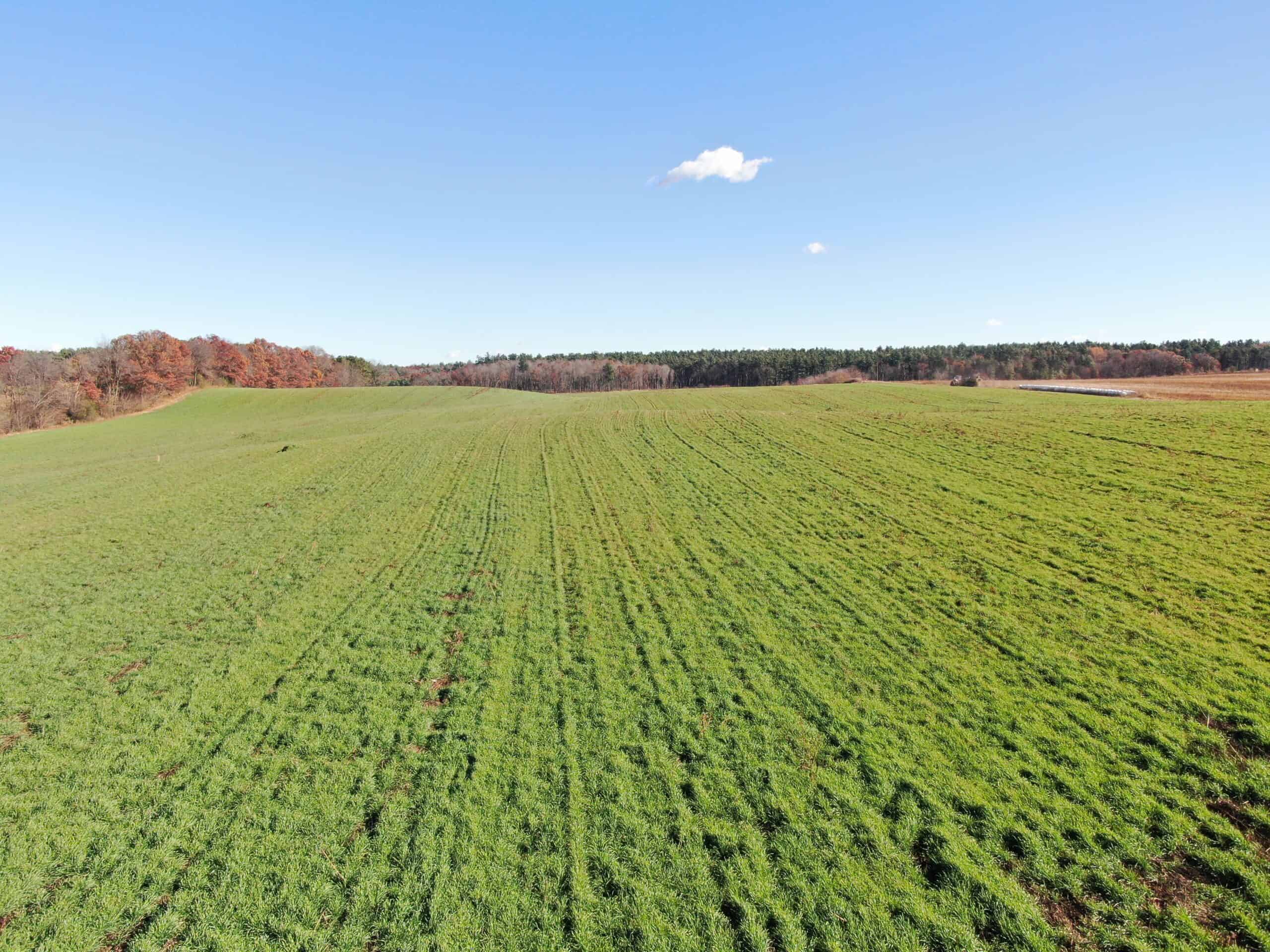 75± Acres of Productive Farmland Property in Portage County, WI