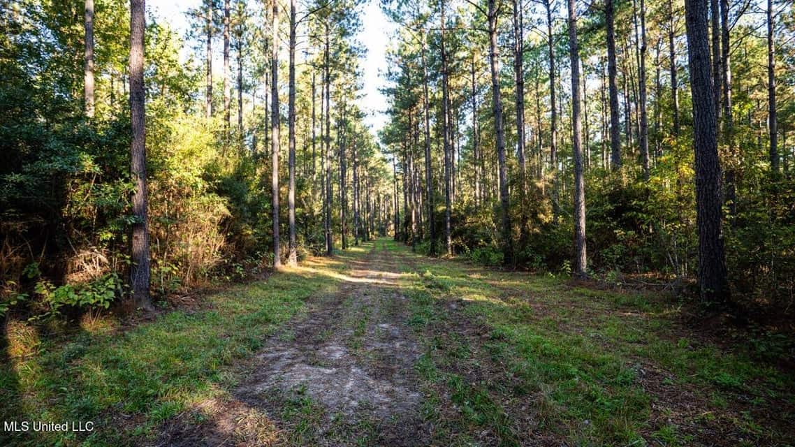 233-Acre Paradise on the Tickfaw River, Osyka, Amite County, MS