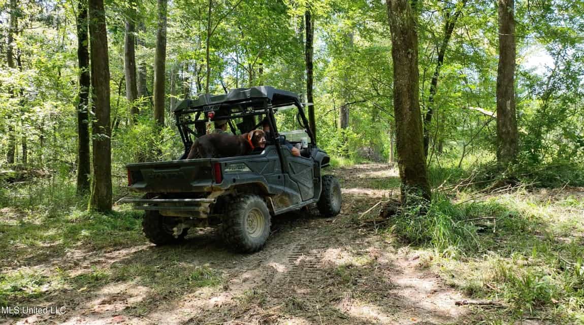 108+- Acres on the Bogue Chitto River Summit, Mississippi