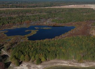 Premier Turnkey Duck & Deer Property With First Class Lodge