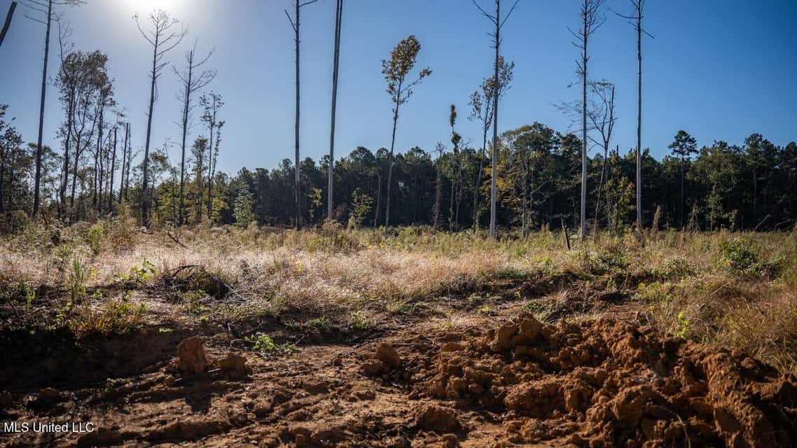 113 Acres of Hunting Land in Liberty, Mississippi