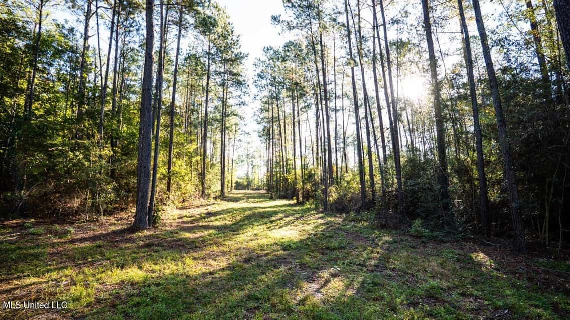 233-Acre Paradise on the Tickfaw River, Osyka, Amite County, MS