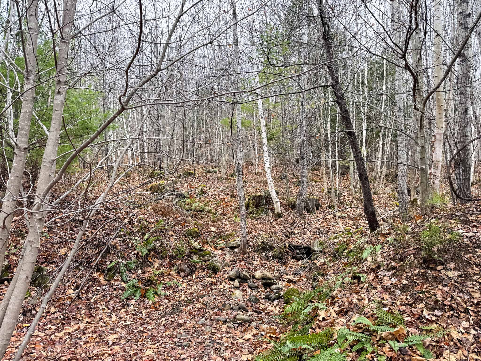 82 Acres with a Mountain View – Strong, Maine