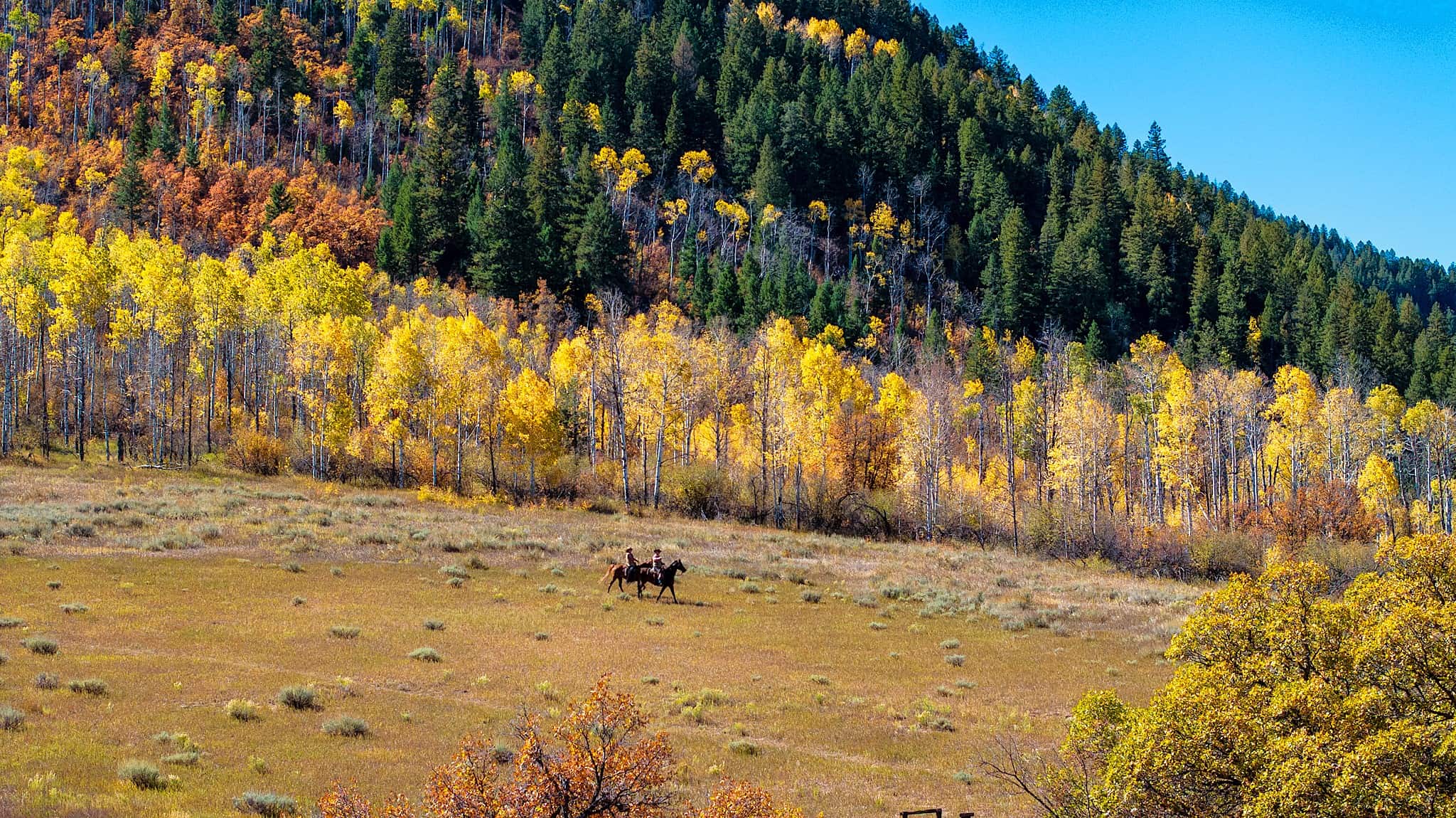 Mountain Luxury Estate – Colorado Riverfront Home for Sale