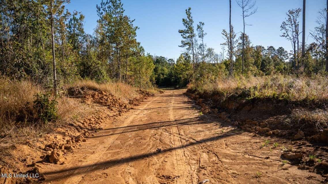 113 Acres of Hunting Land in Liberty, Mississippi