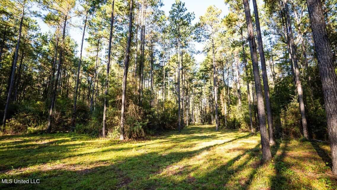 233-Acre Paradise on the Tickfaw River, Osyka, Amite County, MS