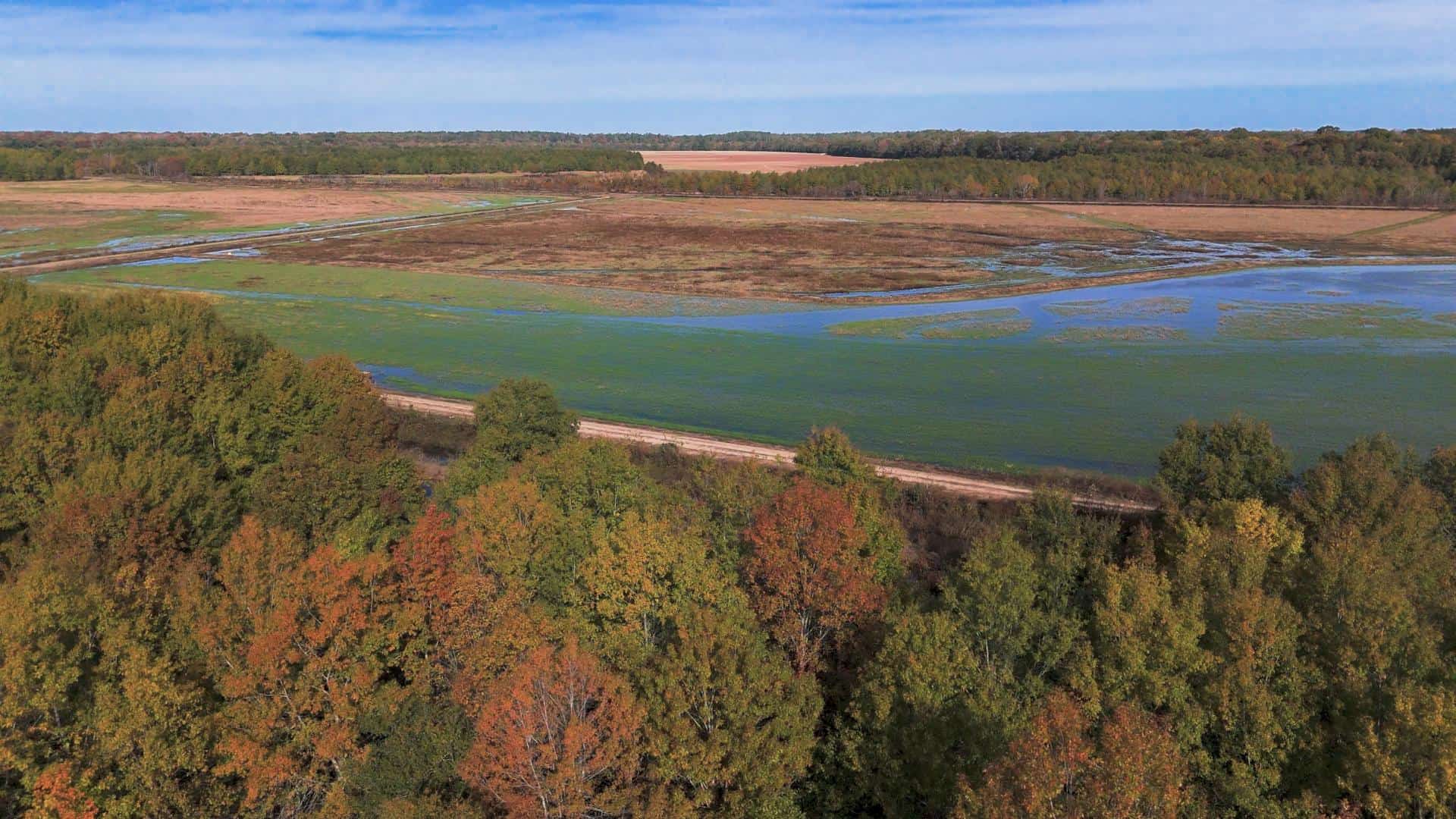 Premier Turnkey Duck & Deer Property With First Class Lodge