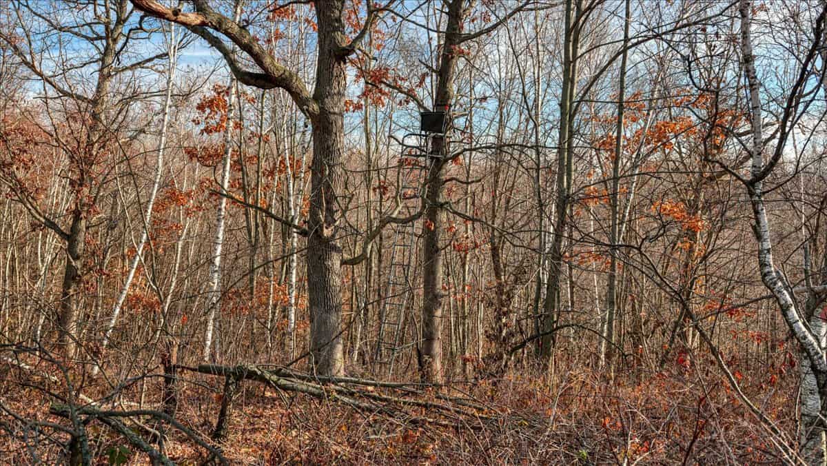 252± Acre Legacy Estate in Trempealeau County WI