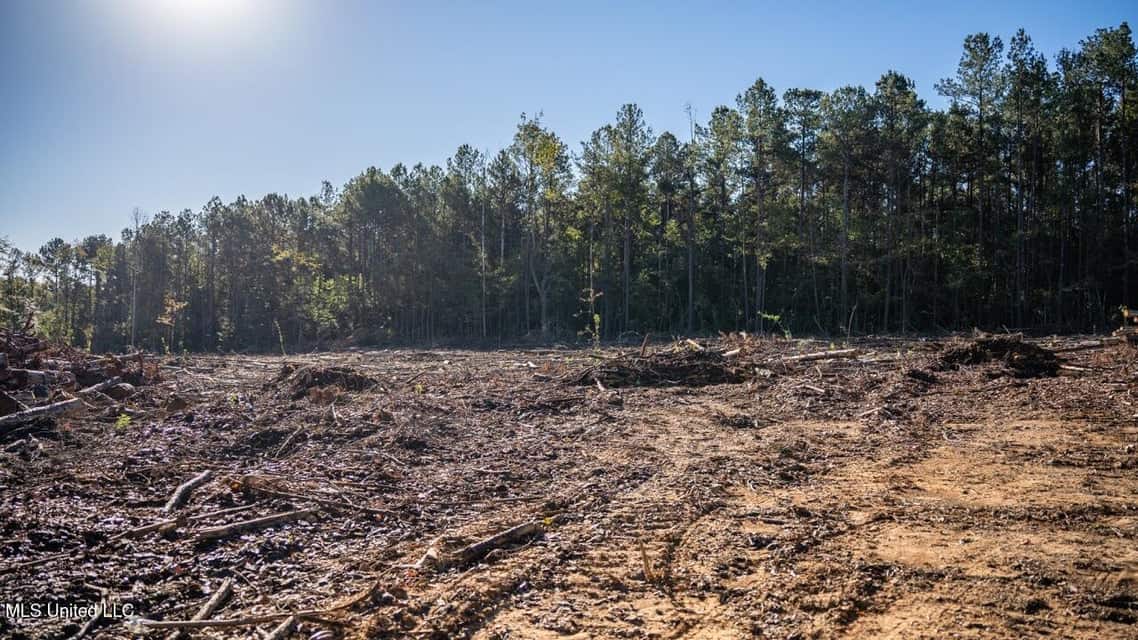 113 Acres of Hunting Land in Liberty, Mississippi