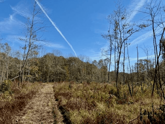 76 Acres For Sale Clay County MS