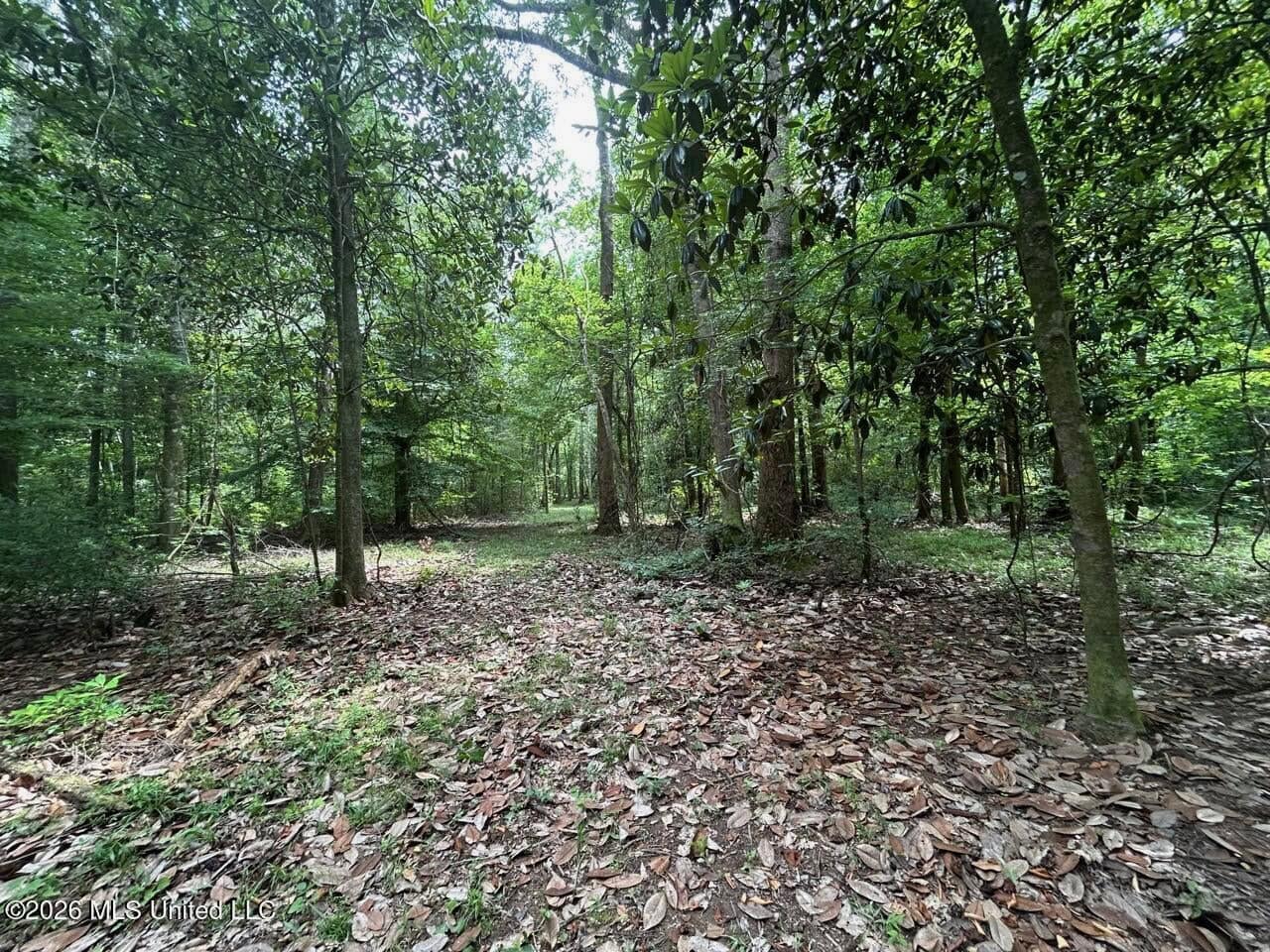 113± Acres for Sale in Osyka, MS on Tickfaw River