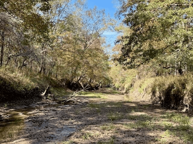 158.8 Acres Creek Frontage Clay County MS