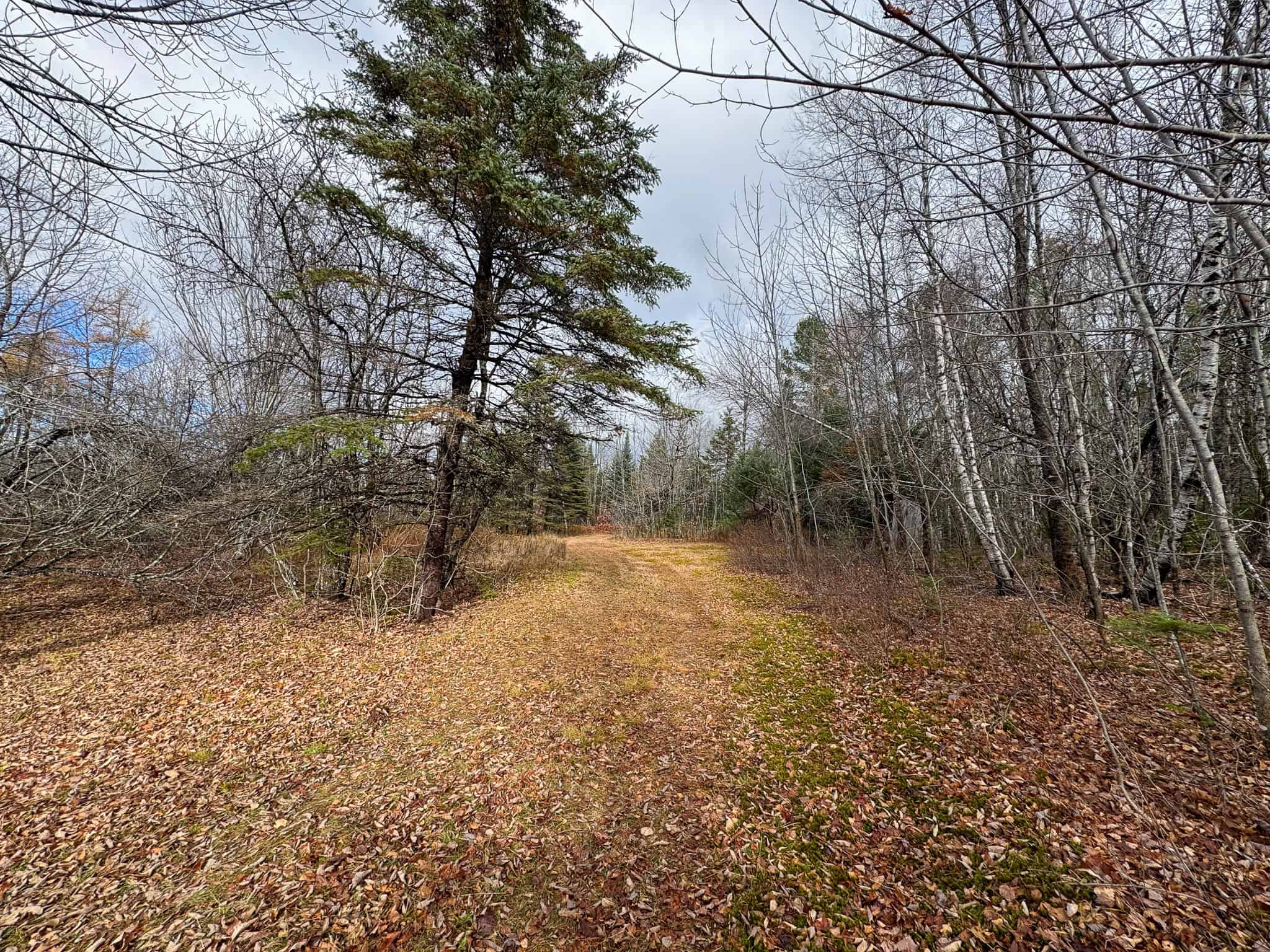 Peaceful Log Cabin Retreat with 128.8 Acres