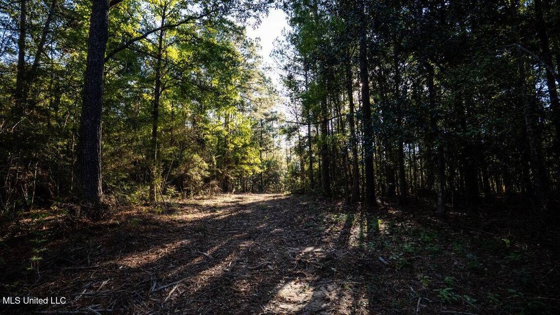 233-Acre Paradise on the Tickfaw River, Osyka, Amite County, MS