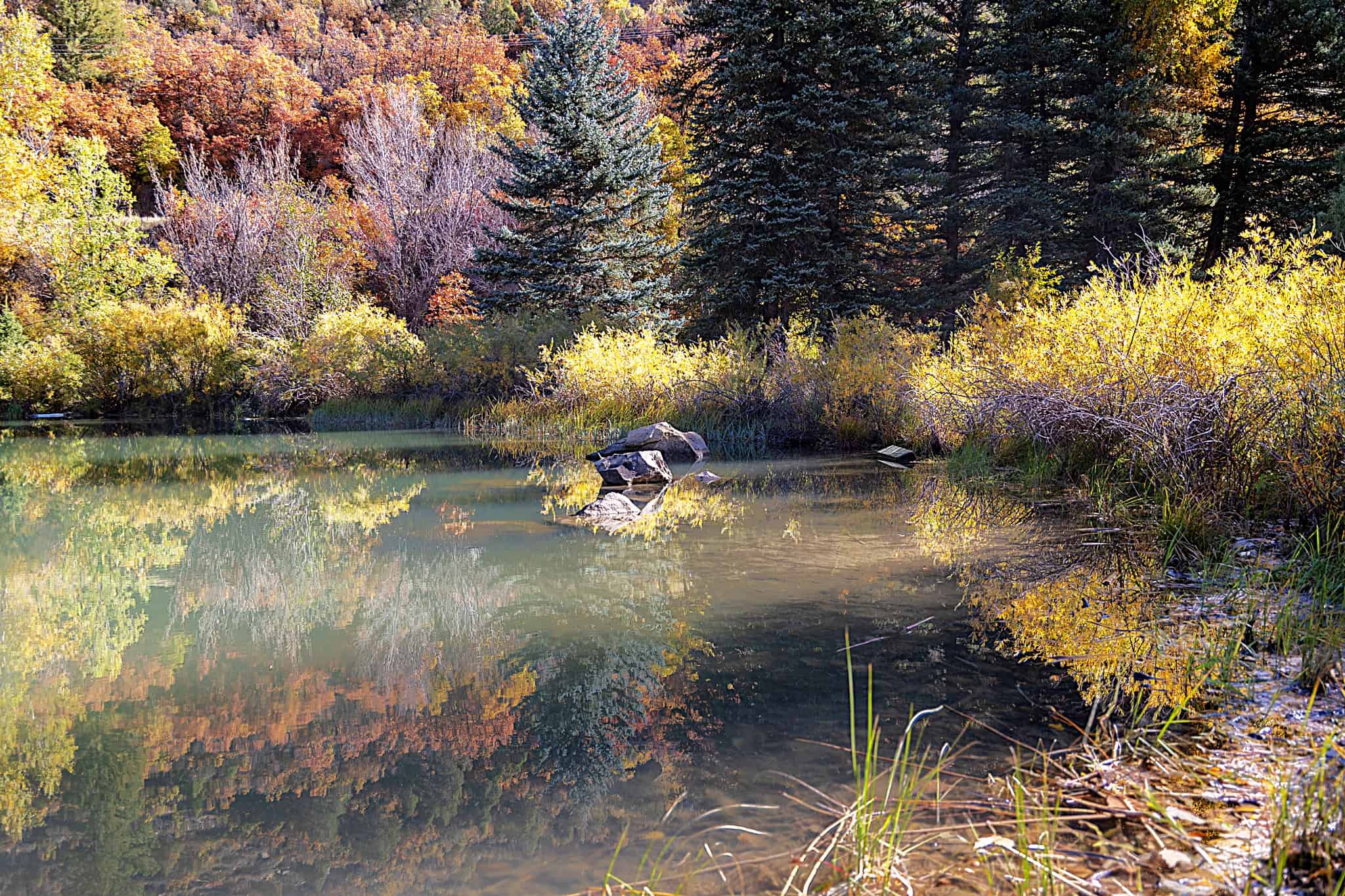 Mountain Luxury Estate – Colorado Riverfront Home for Sale