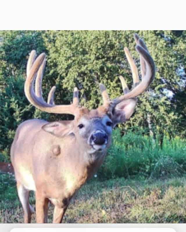 252± Acre Legacy Estate in Trempealeau County WI