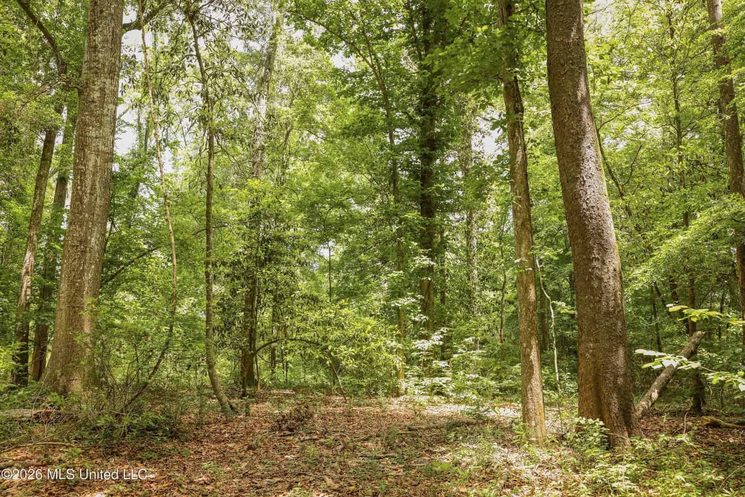 108+- Acres on the Bogue Chitto River Summit, Mississippi
