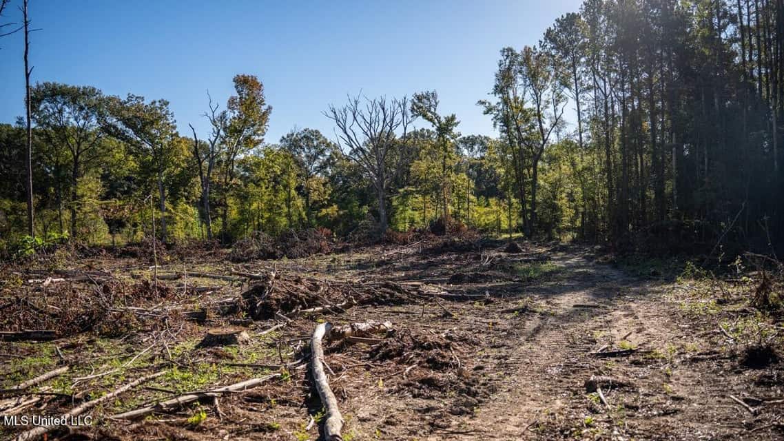 113 Acres of Hunting Land in Liberty, Mississippi