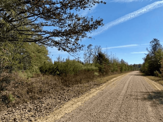 76 Acres For Sale Clay County MS