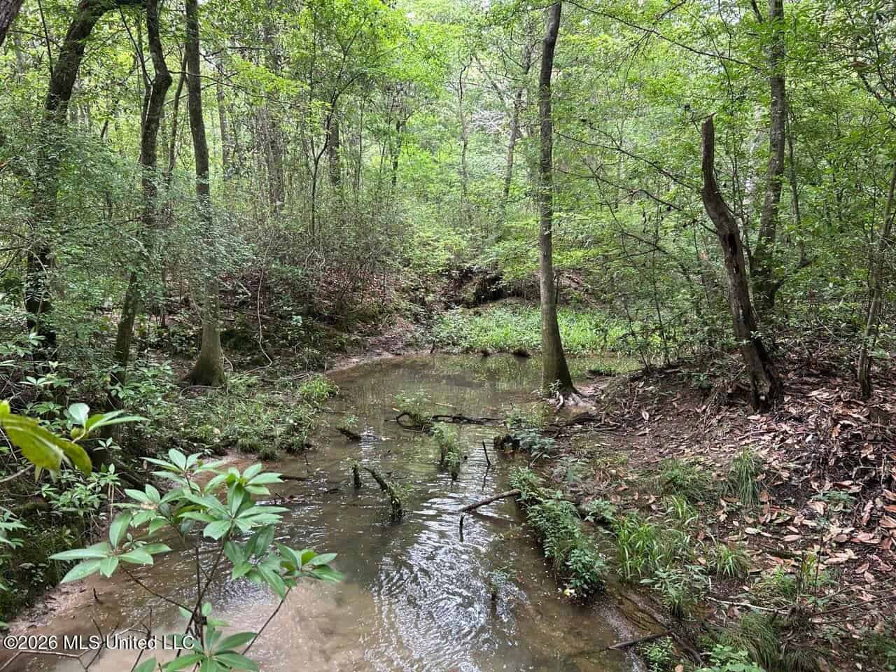 113± Acres for Sale in Osyka, MS on Tickfaw River