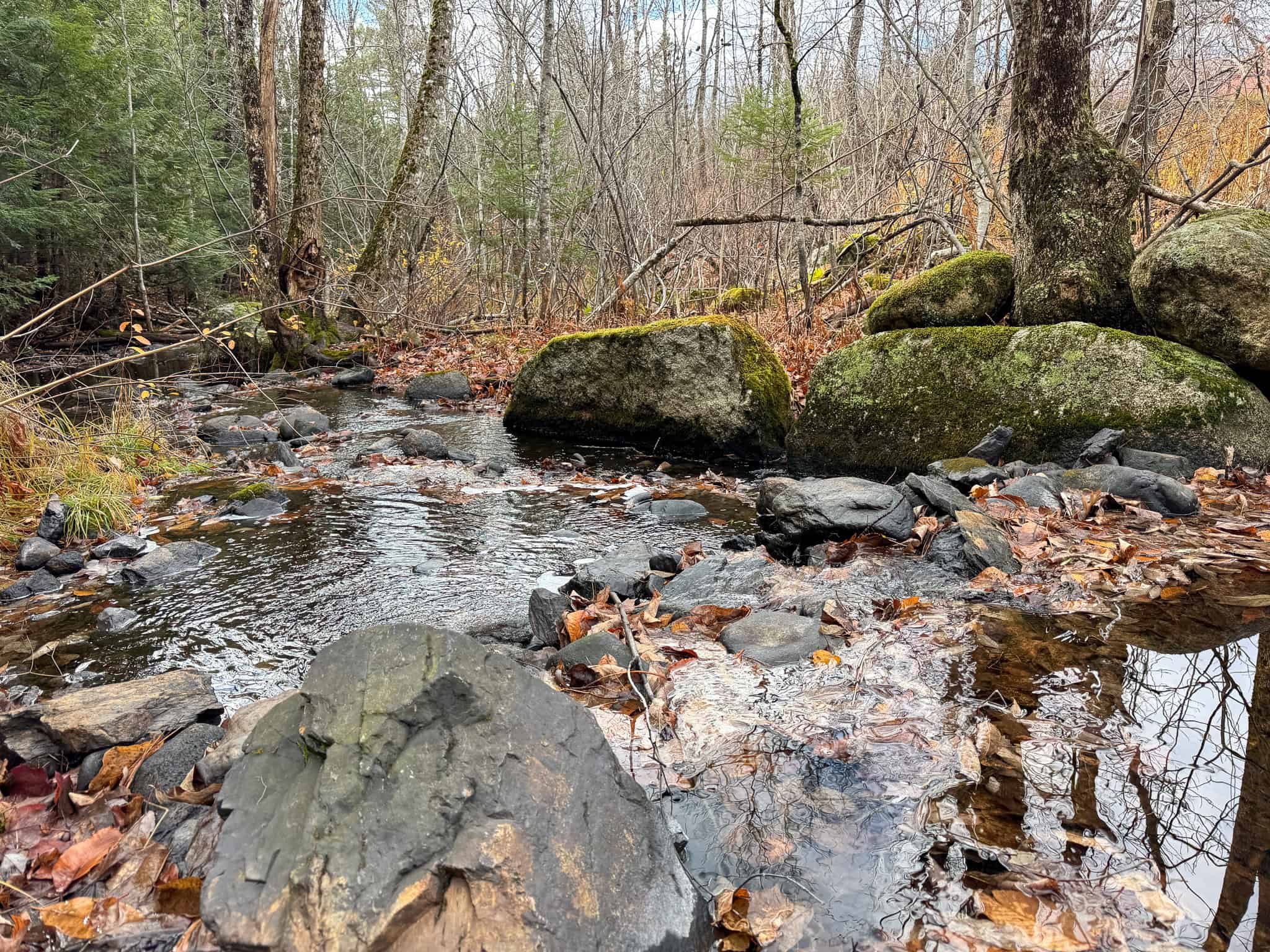Peaceful Log Cabin Retreat with 128.8 Acres
