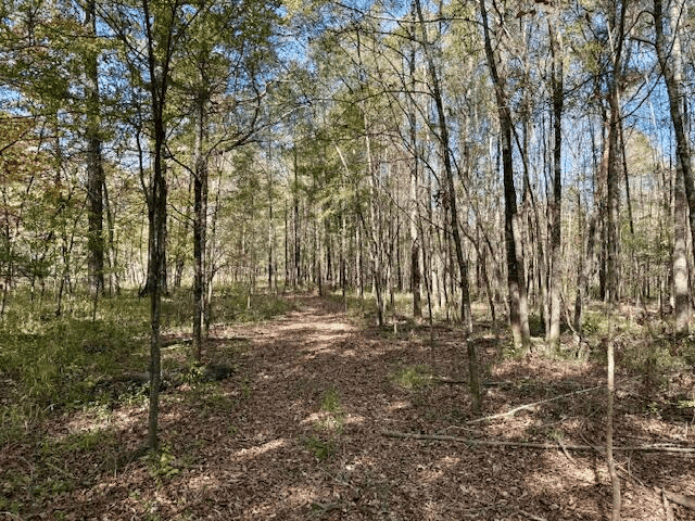 158.8 Acres Creek Frontage Clay County MS