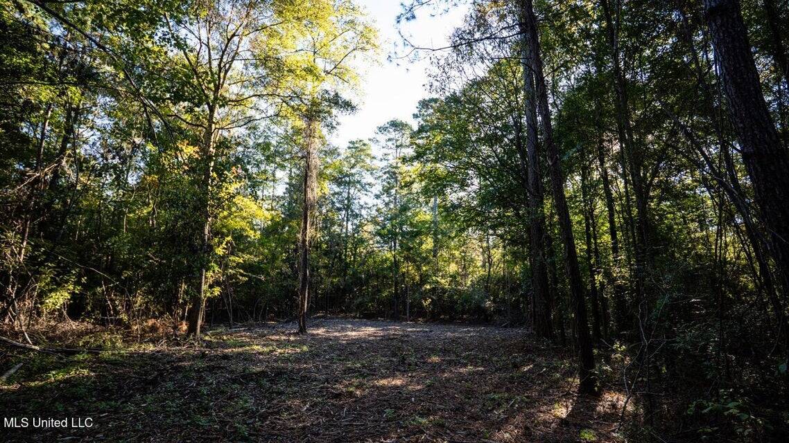 233-Acre Paradise on the Tickfaw River, Osyka, Amite County, MS