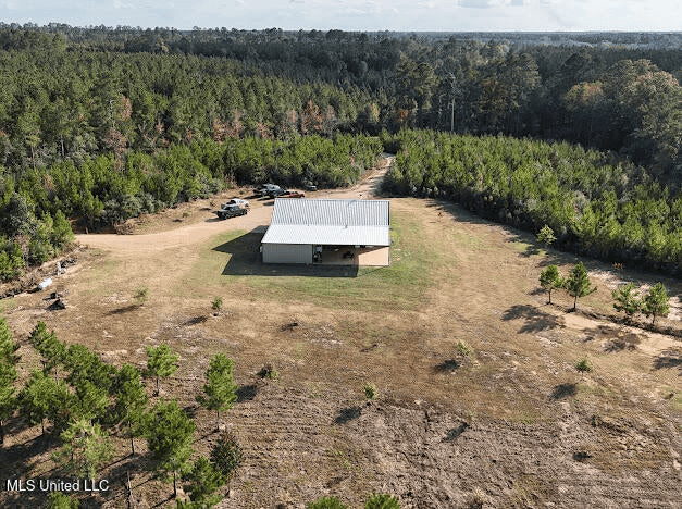 Country Home For Sale in Amite County, MS