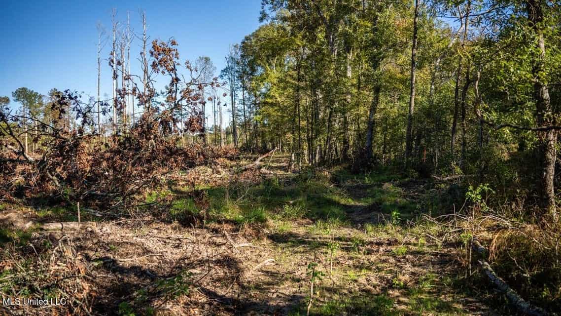 113 Acres of Hunting Land in Liberty, Mississippi