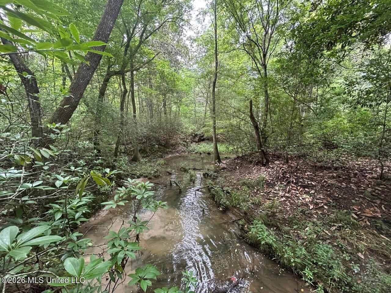 113± Acres for Sale in Osyka, MS on Tickfaw River