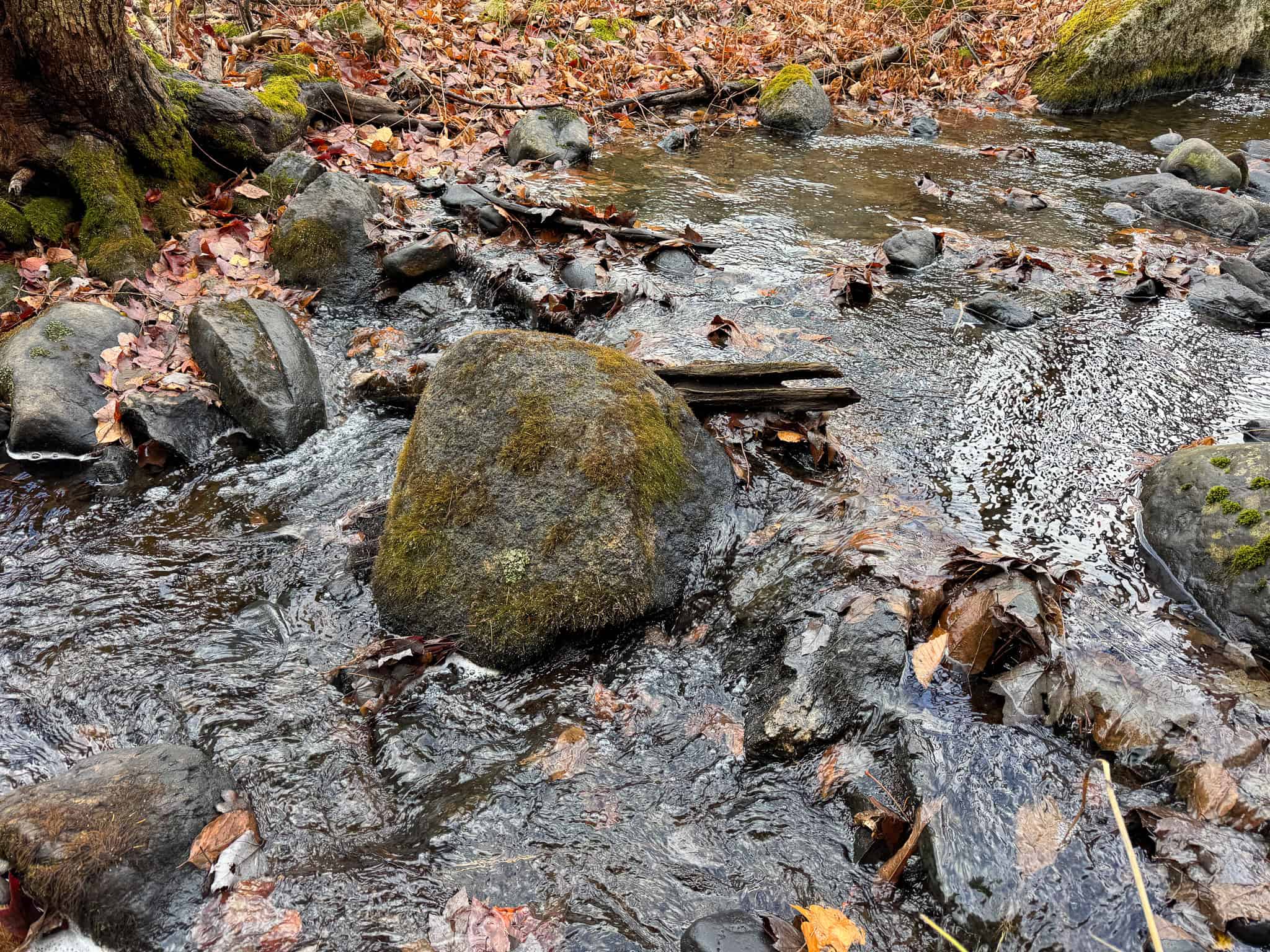 Peaceful Log Cabin Retreat with 128.8 Acres