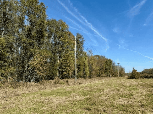 158.8 Acres Creek Frontage Clay County MS