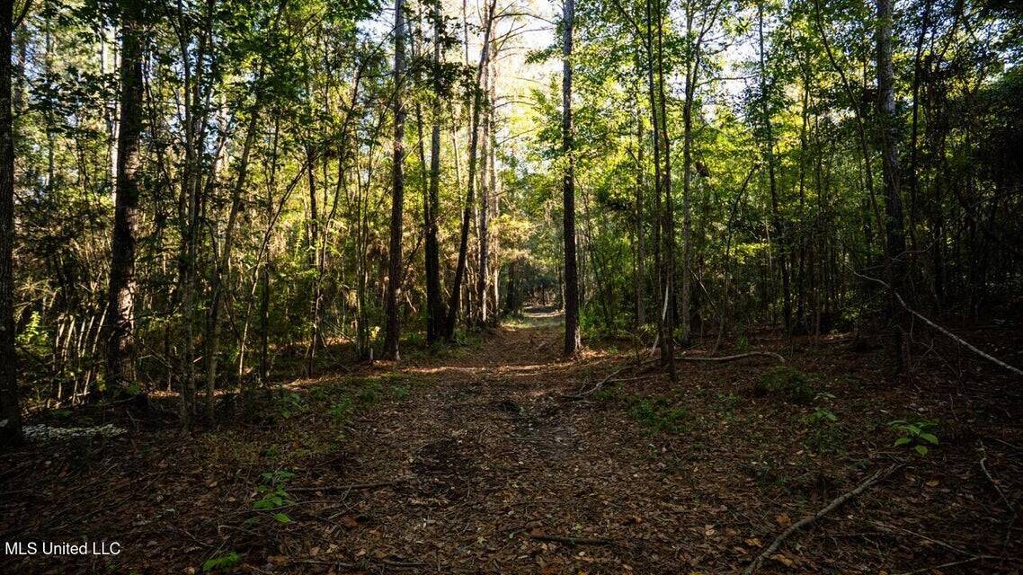 233-Acre Paradise on the Tickfaw River, Osyka, Amite County, MS