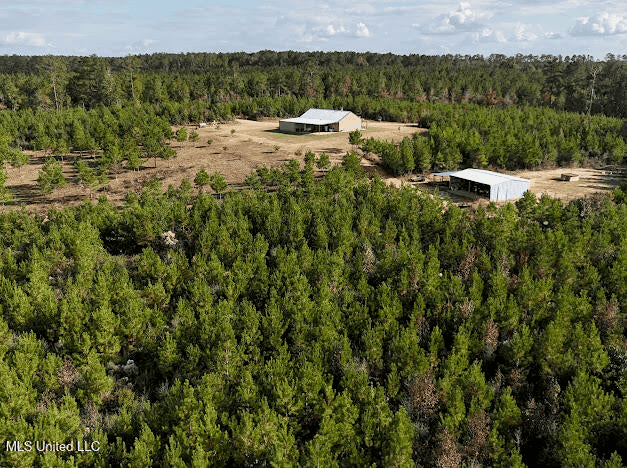 Country Home For Sale in Amite County, MS