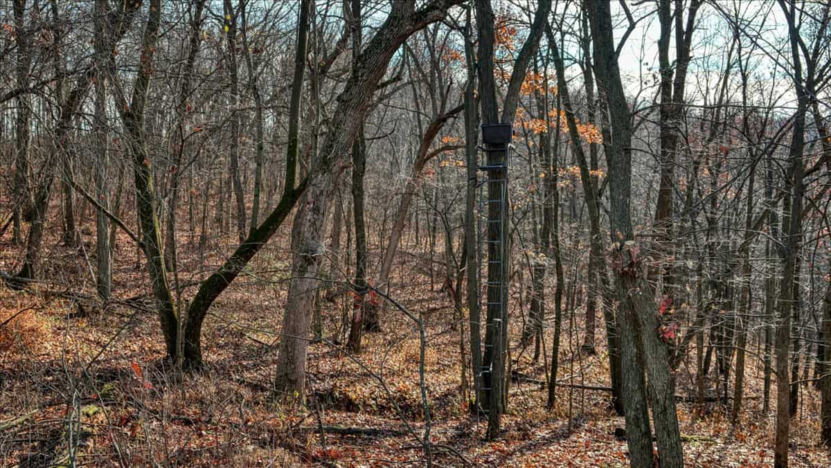 252± Acre Legacy Estate in Trempealeau County WI