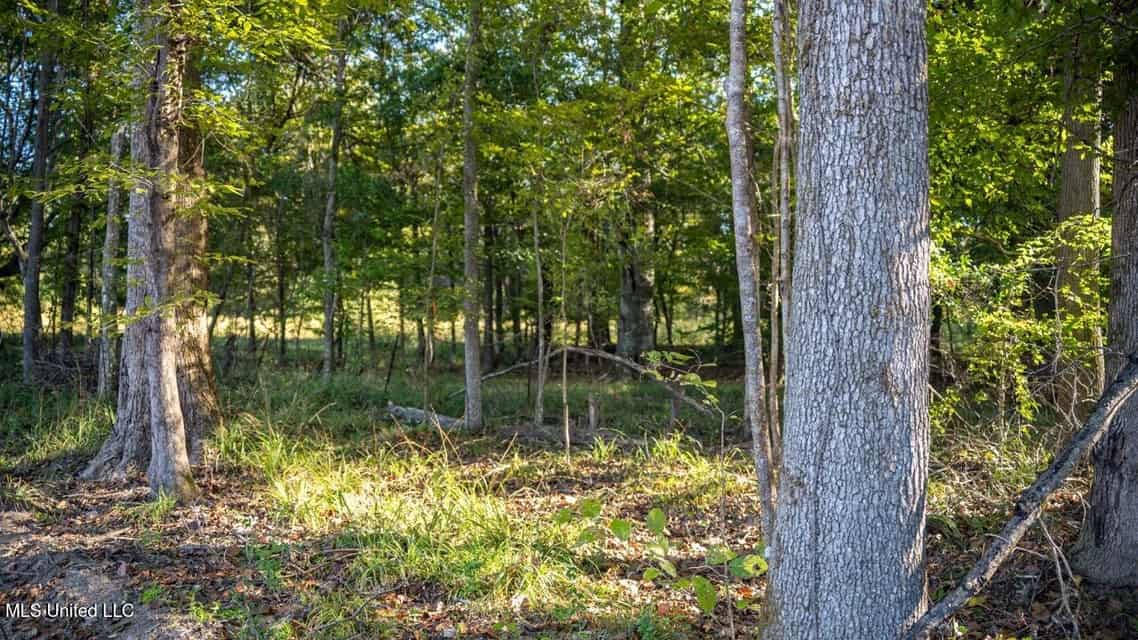 113 Acres of Hunting Land in Liberty, Mississippi