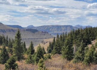 Premier Colorado Wilderness Lodge & Big Game Outfitter for Sale