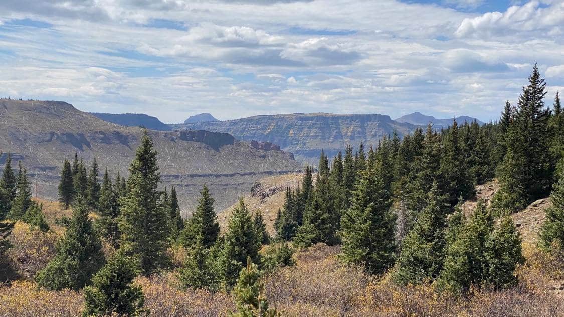 Premier Colorado Wilderness Lodge & Big Game Outfitter for Sale