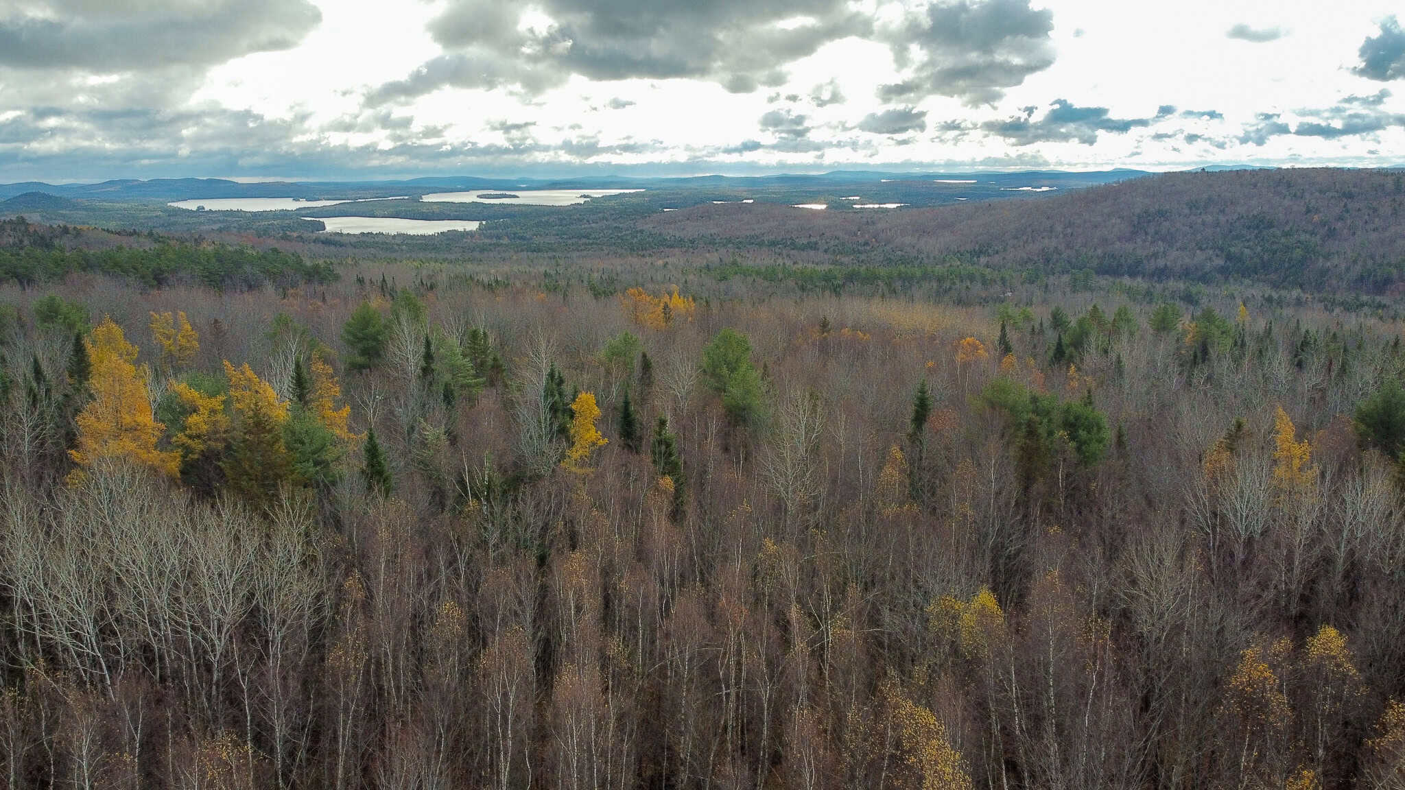 Peaceful Log Cabin Retreat with 128.8 Acres