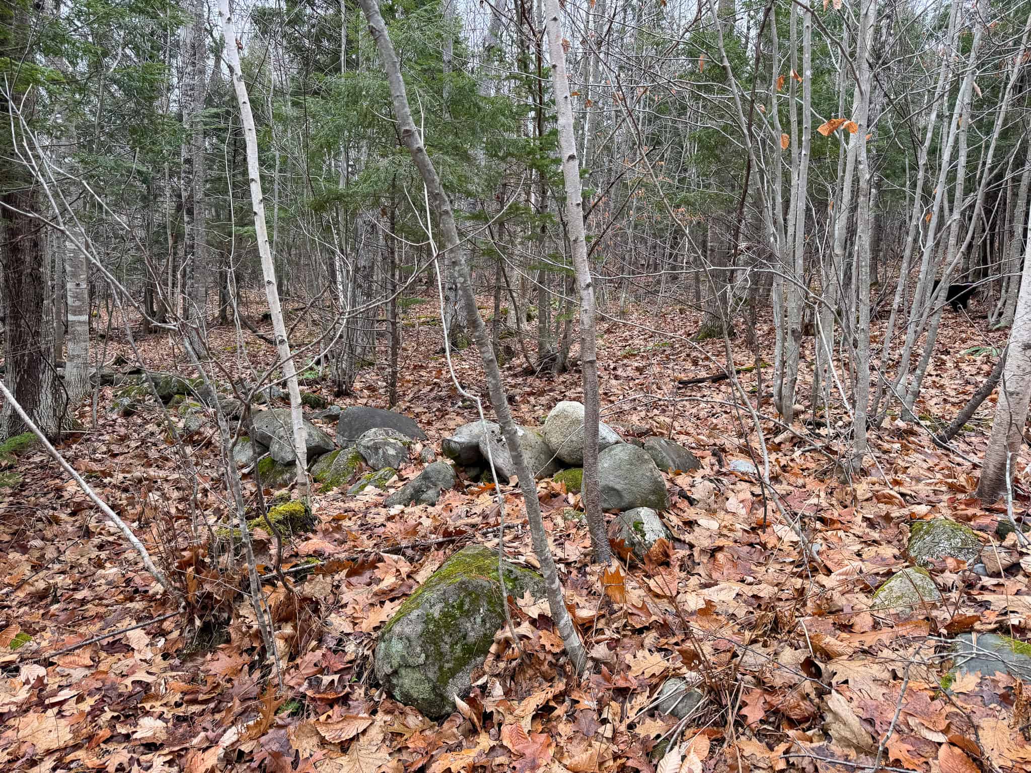 82 Acres with a Mountain View – Strong, Maine