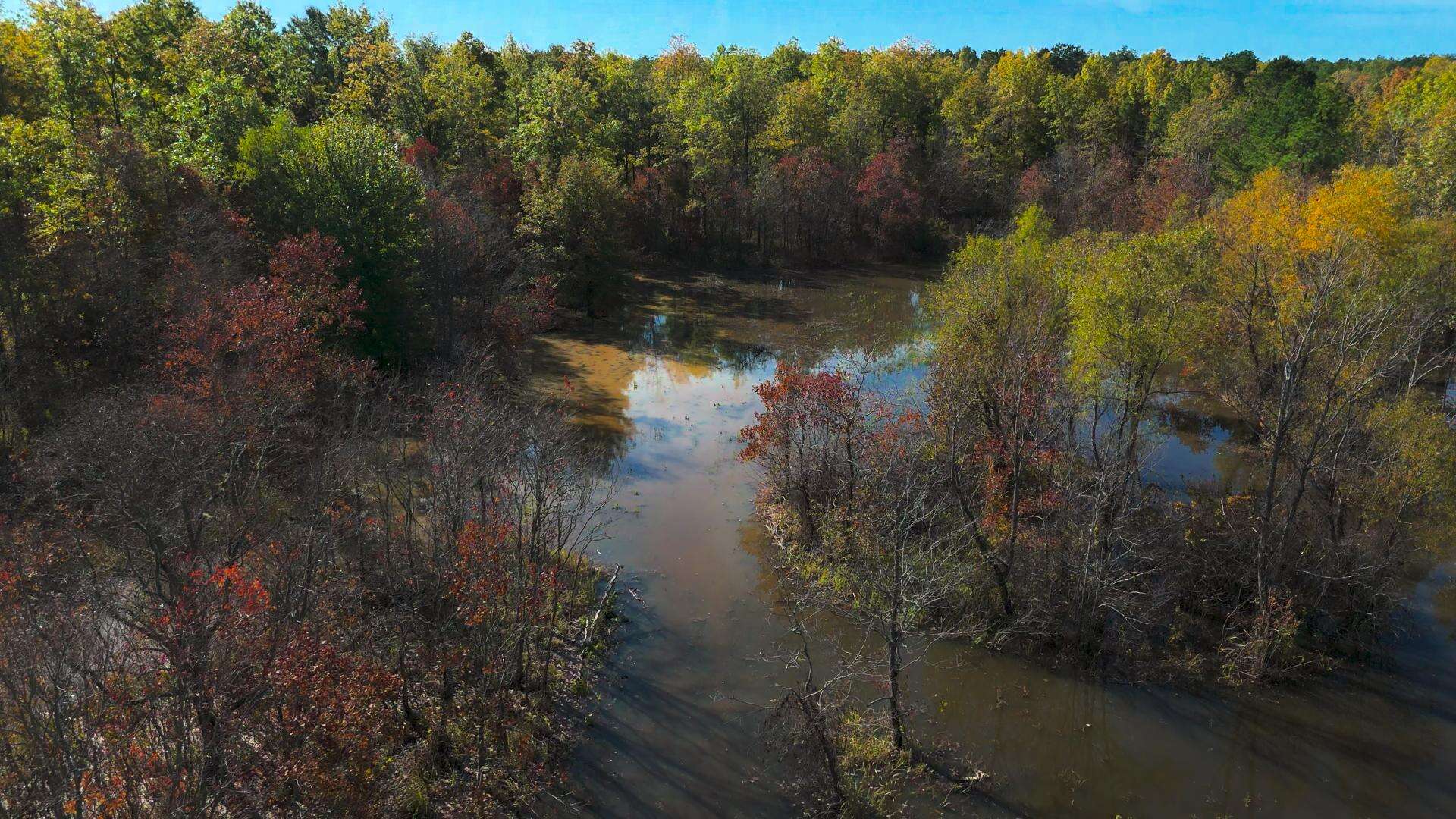 Premier Turnkey Duck & Deer Property With First Class Lodge