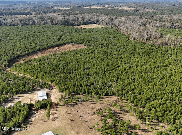 Country Home For Sale in Amite County, MS