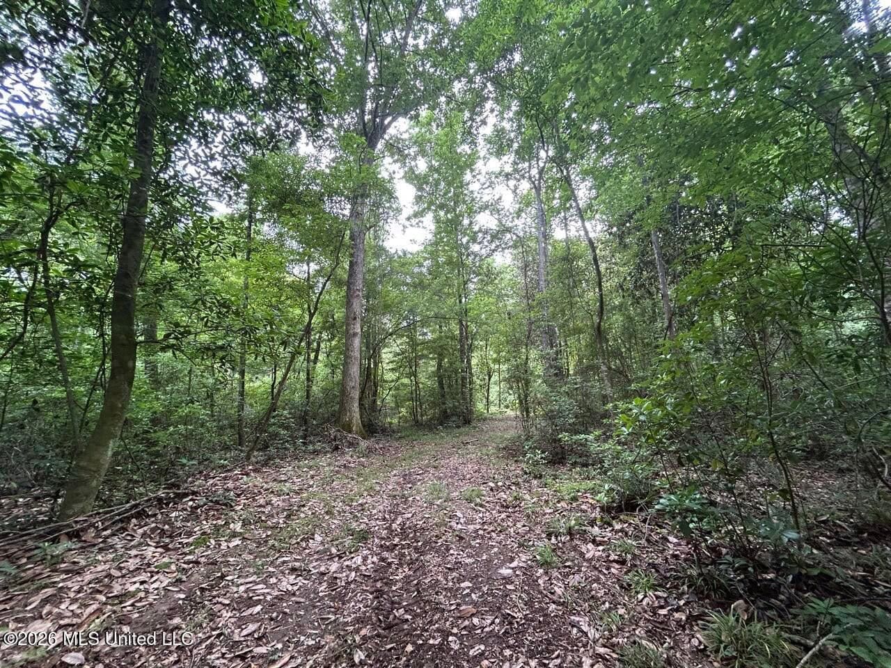 113± Acres for Sale in Osyka, MS on Tickfaw River