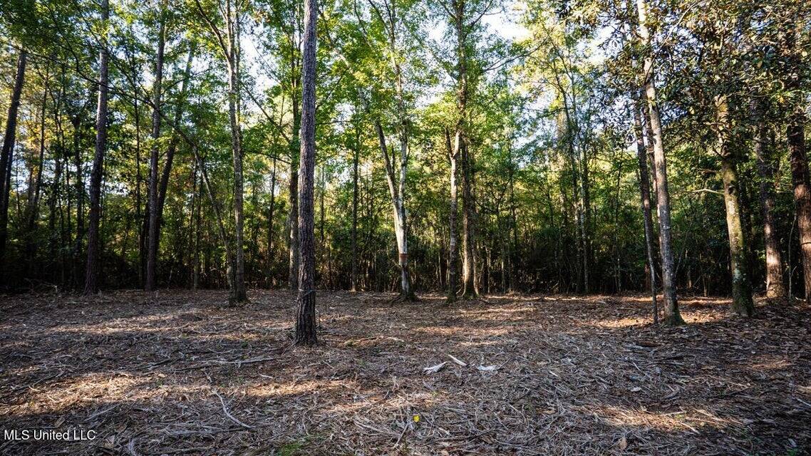 233-Acre Paradise on the Tickfaw River, Osyka, Amite County, MS