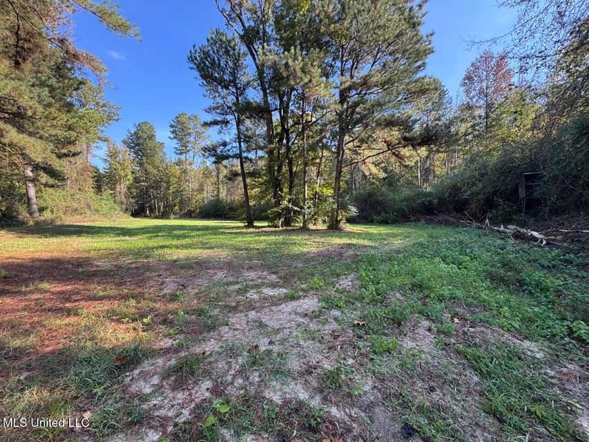 Hunting Land for Sale in Amite County, Mississippi