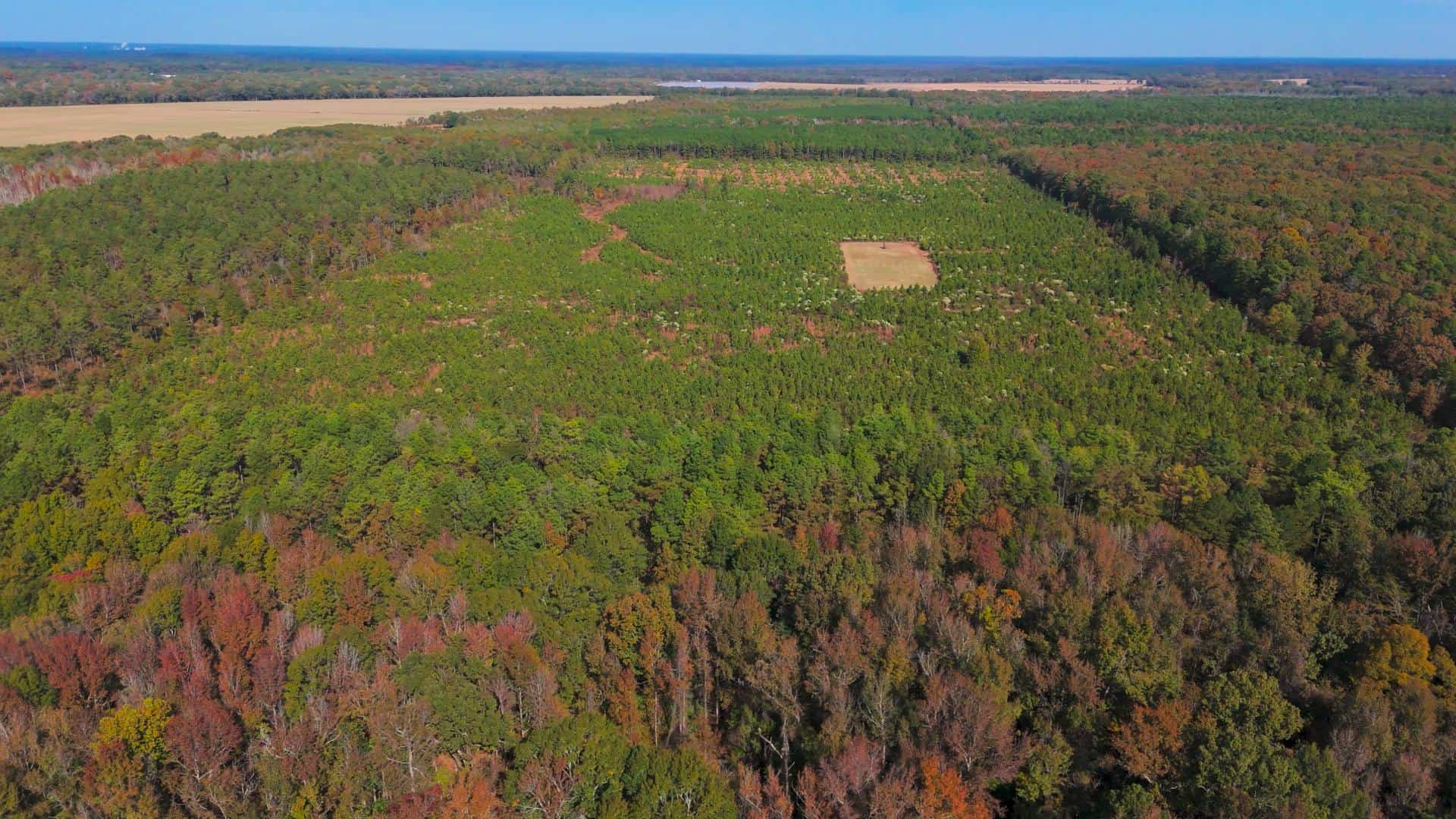 Premier Turnkey Duck & Deer Property With First Class Lodge